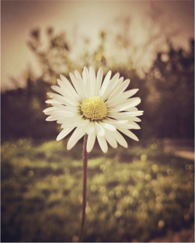 Je t'aime, un peu, beaucoup