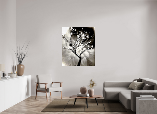 branches Lumineuses