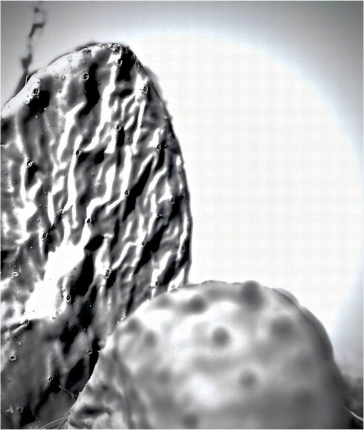 Silhouettes Subtiles