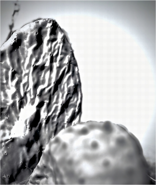 Silhouettes Subtiles