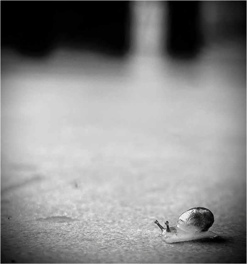 Éloge de la patience