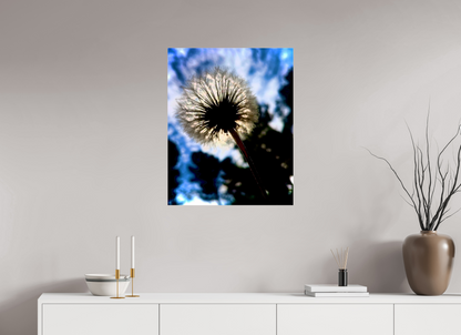 Fragilité en Lumière