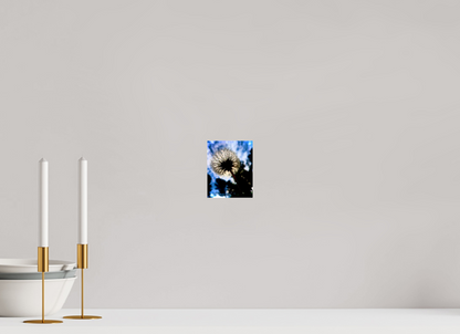 Fragilité en Lumière