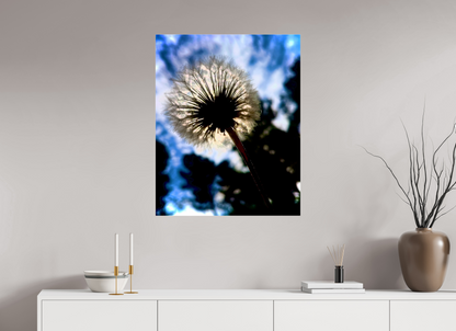 Fragilité en Lumière