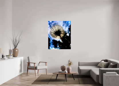 Fragilité en Lumière